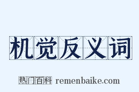 机觉反义词是什么意思的图片
